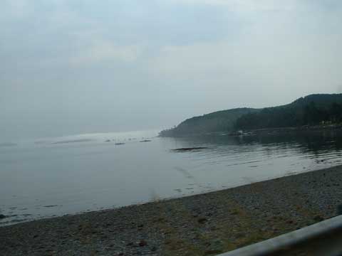 Misty Maine Coastline