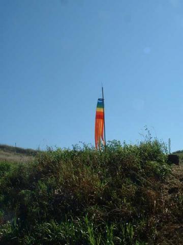 Farm Windsock