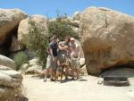 Joshua Tree Camp