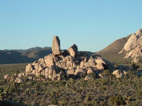 Rock Pile in J-Tree