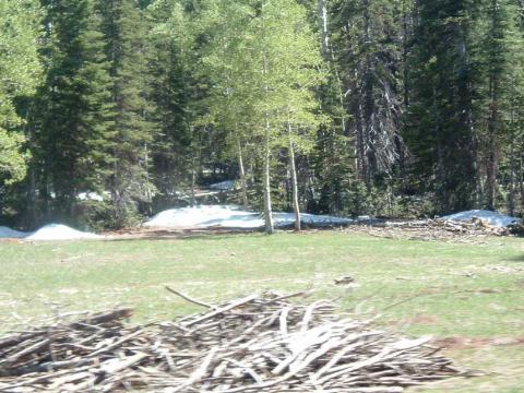 Snow On The Ground, Navajo Lake